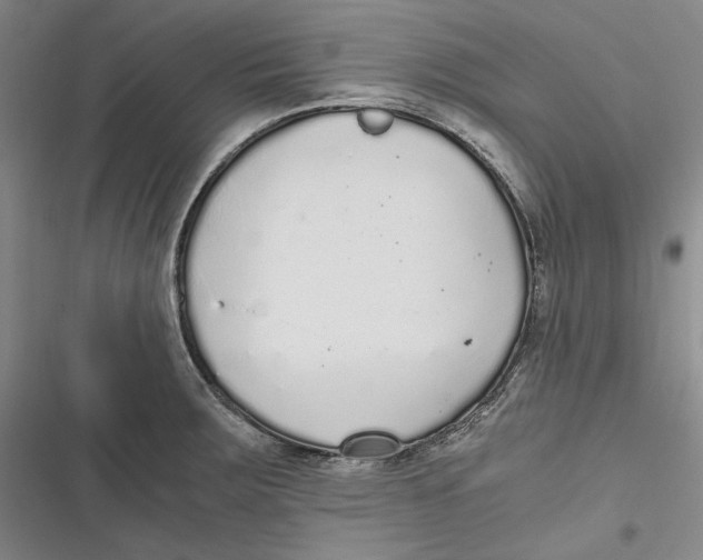 X0000116861283201001121233