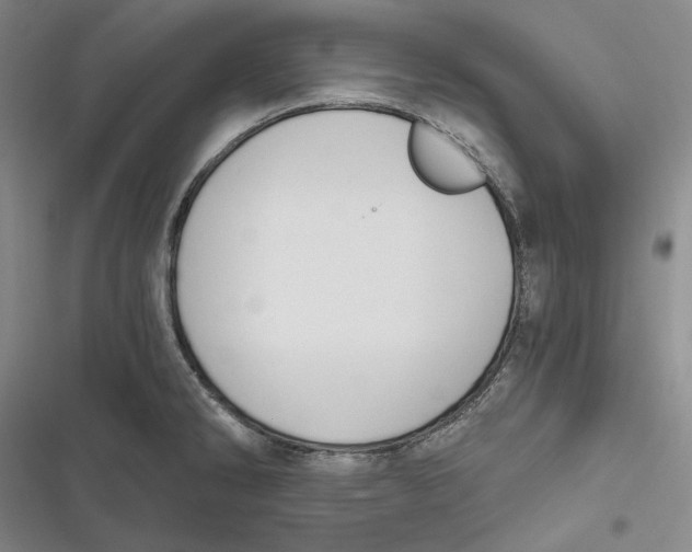 X0000116861286201001121233