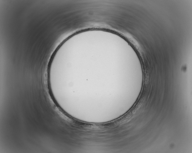 X0000116861287201001121233