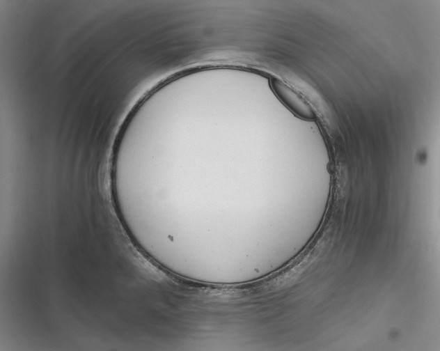 X0000116861288201001121233