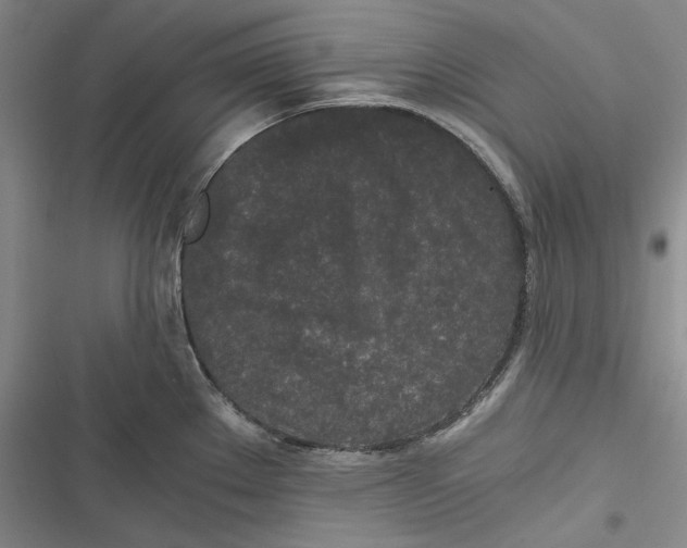 X0000116861289201001121233