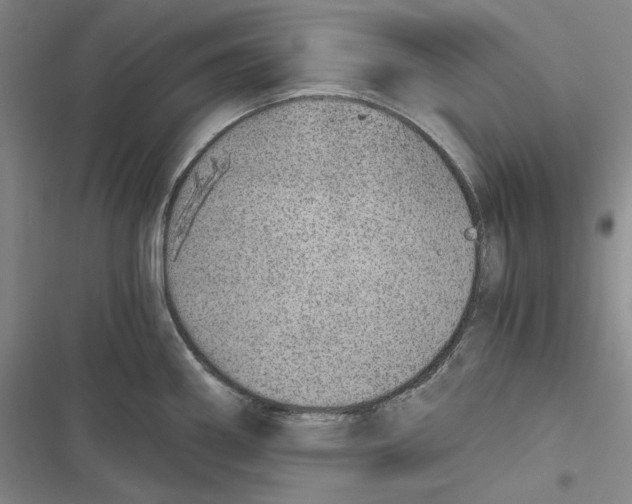 X0000116861290201001121233