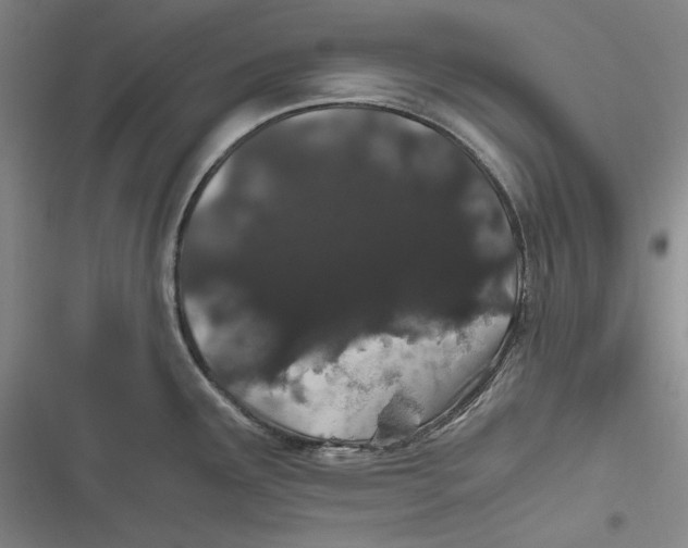 X0000116861291201001121233