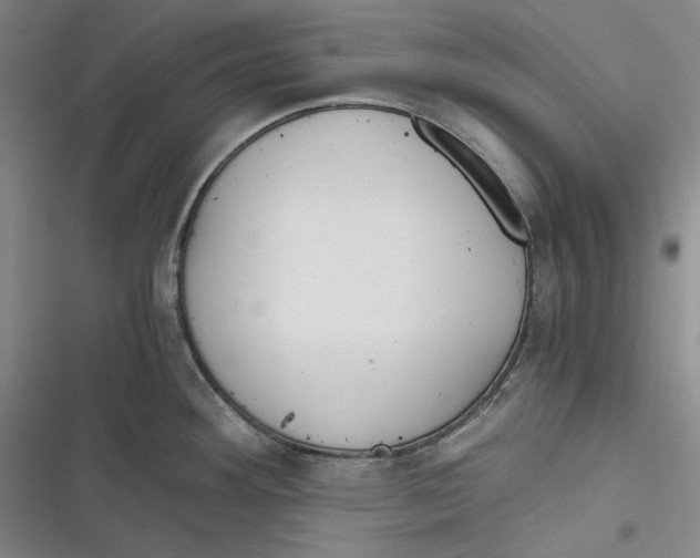 X0000116861292201001121233