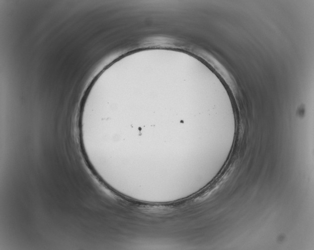 X0000116861293201001121233