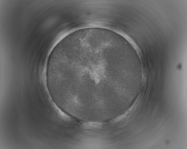 X0000116861294201001121233