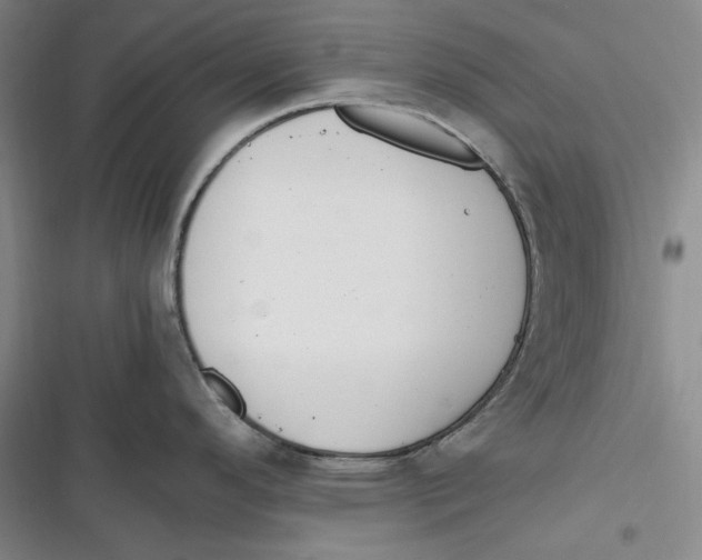 X0000116861296201001121233