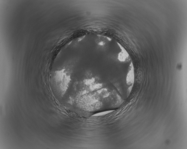 X0000116861297201001121232