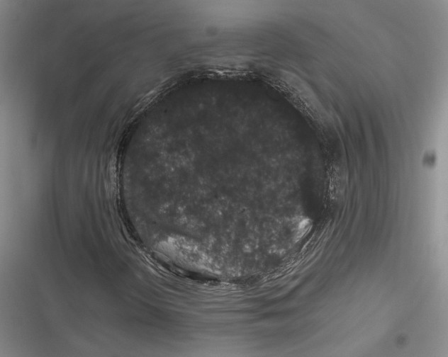 X0000116861298201001121232