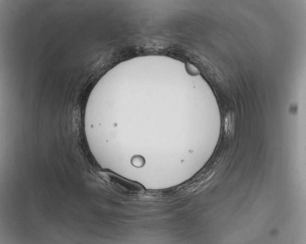 X0000116861299201001121232