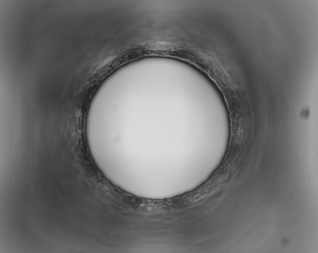 X0000116861301201001121232