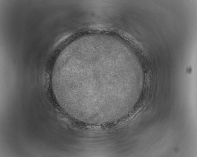 X0000116861302201001121232