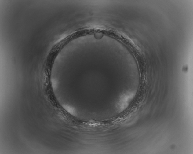 X0000116861303201001121232