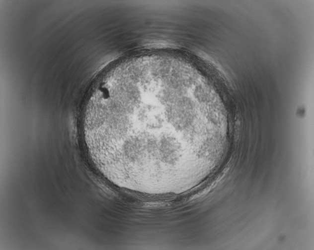 X0000116861305201001121232