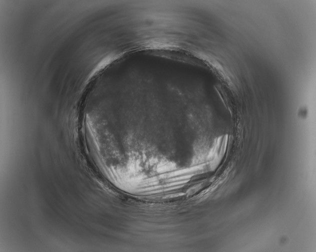 X0000116861306201001121232