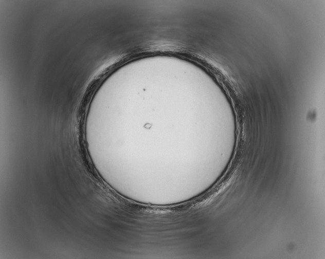 X0000116861309201001121232