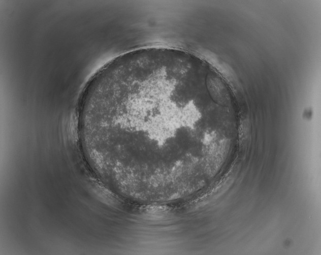 X0000116861310201001121232