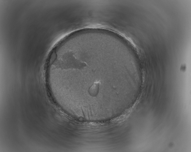 X0000116861311201001121232