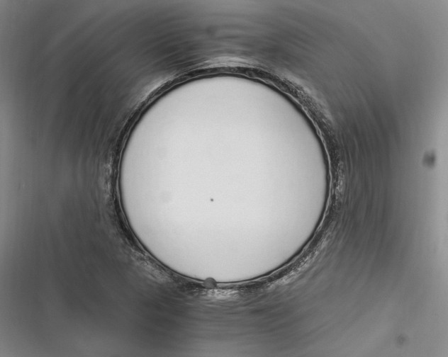 X0000116861313201001121232