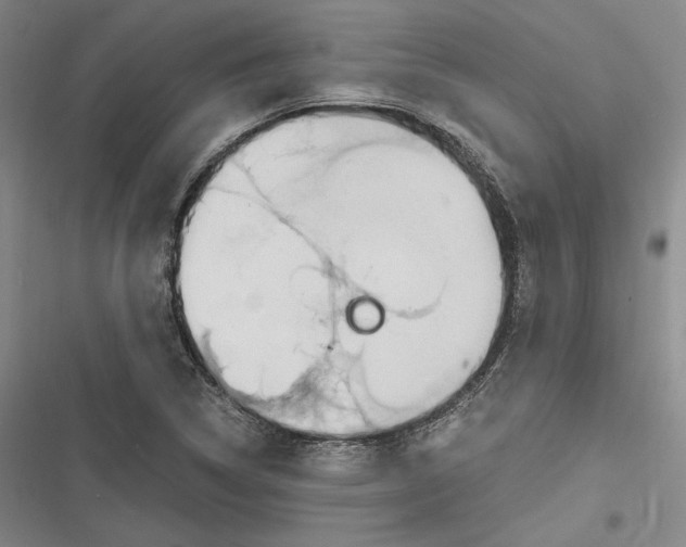 X0000116861314201001121232