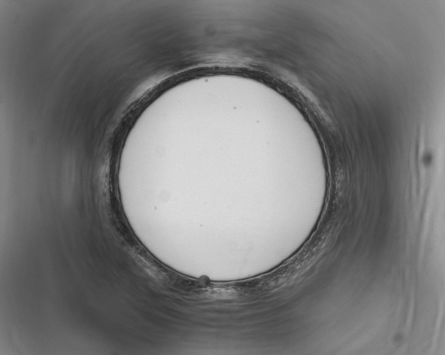 X0000116861315201001121232