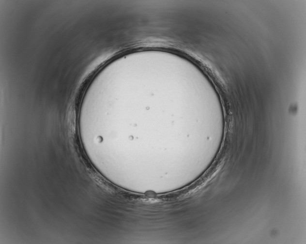 X0000116861317201001121232