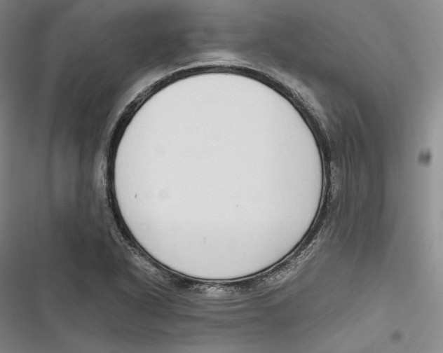 X0000116861318201001121232