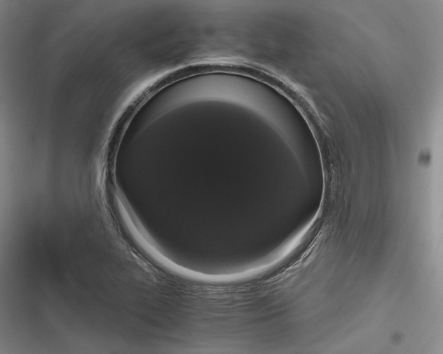 X0000116861319201001121232