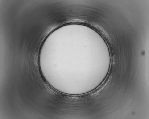 X0000116861321201001121232