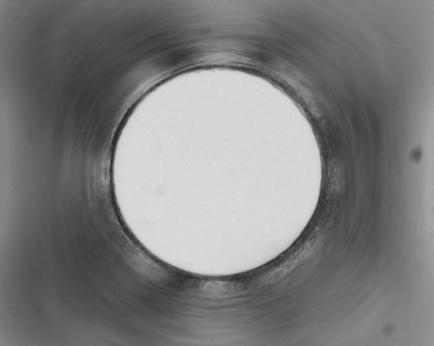 X0000116861322201001121232