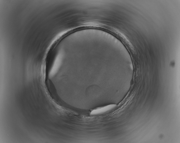 X0000116861323201001121232