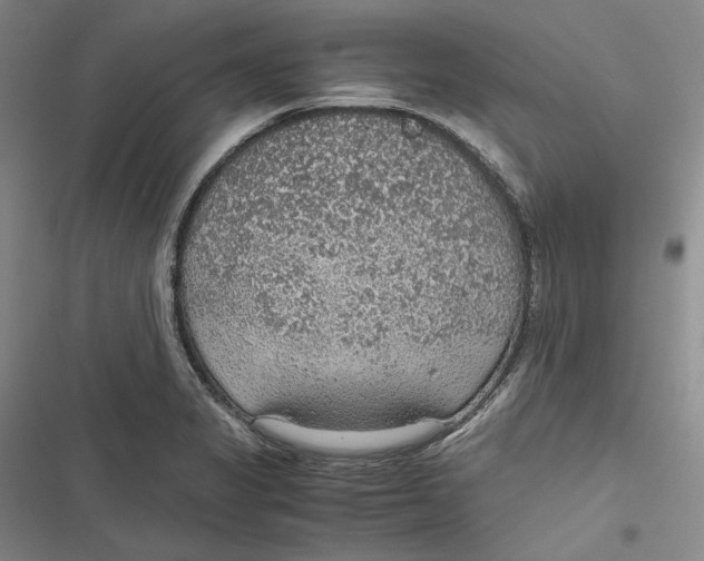 X0000116861325201001121232