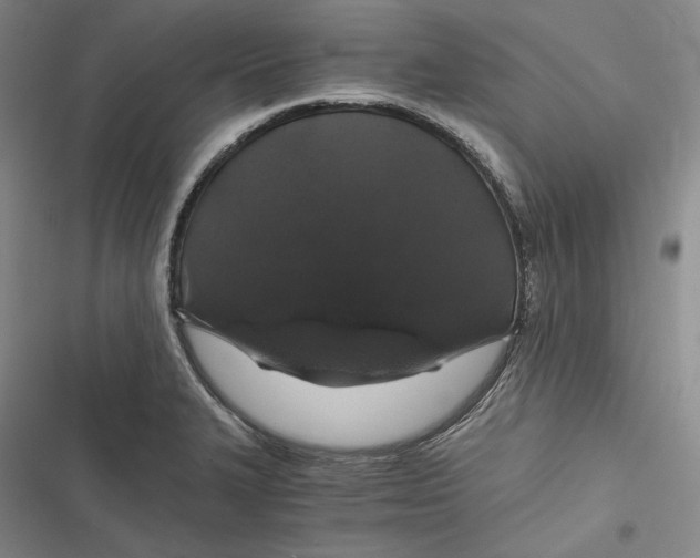 X0000116861327201001121232