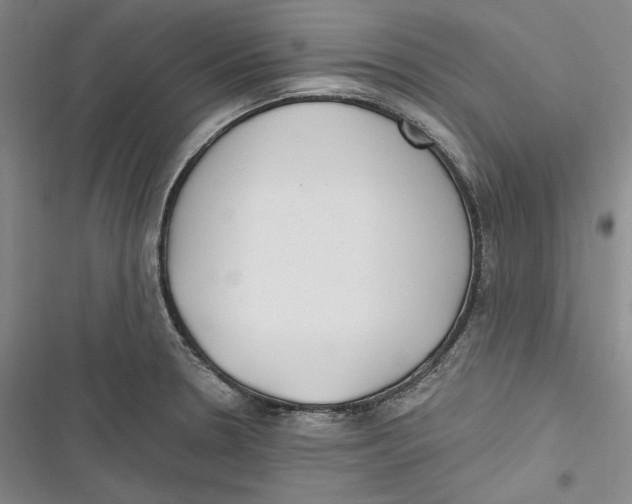 X0000116861330201001121233