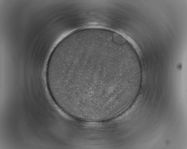 X0000116861333201001121233