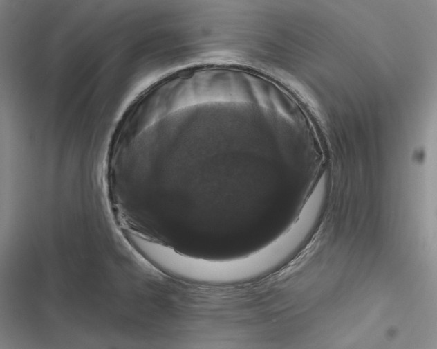 X0000116861334201001121233