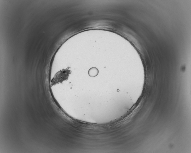 X0000116861338201001121233