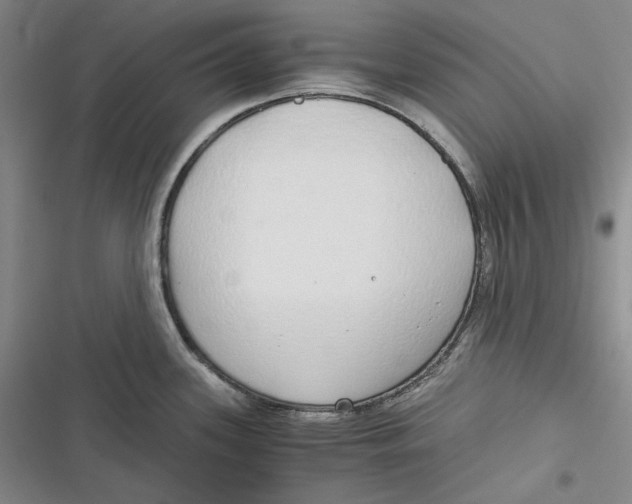 X0000116861339201001121233