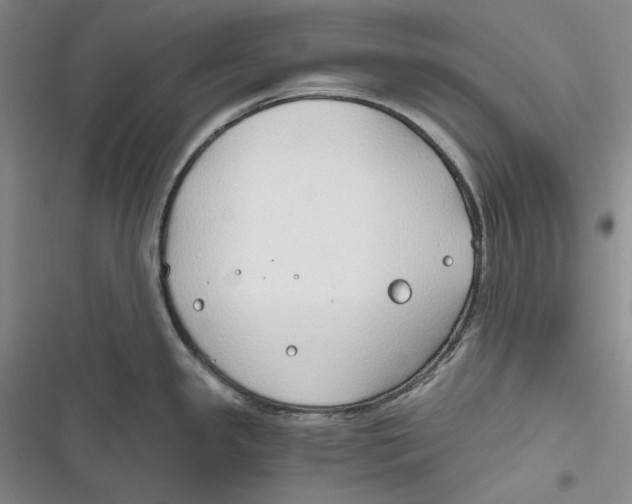 X0000116861341201001121233