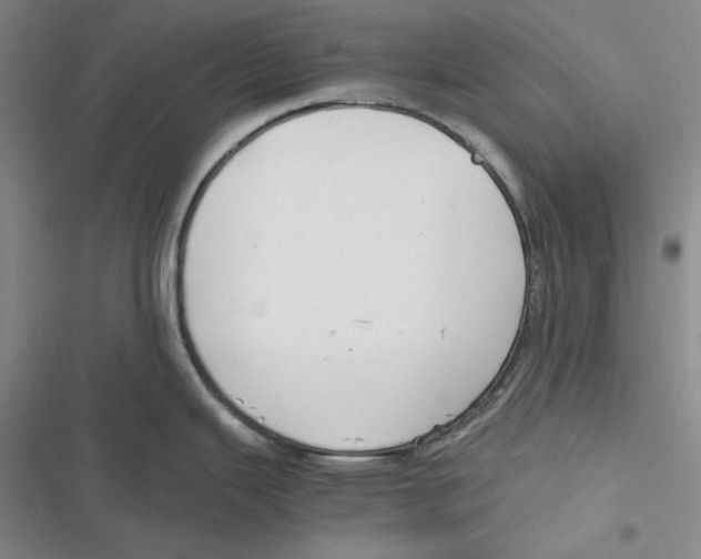 X0000116861343201001121233