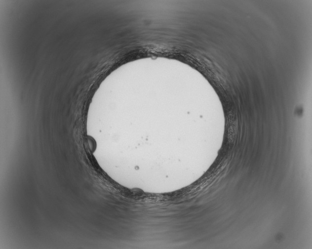 X0000116861345201001121232