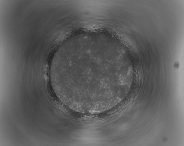 X0000116861346201001121232