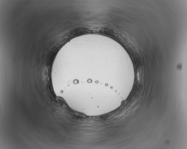 X0000116861347201001121232