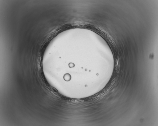 X0000116861348201001121232