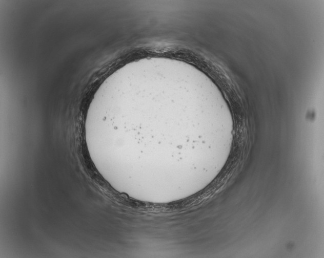 X0000116861349201001121232