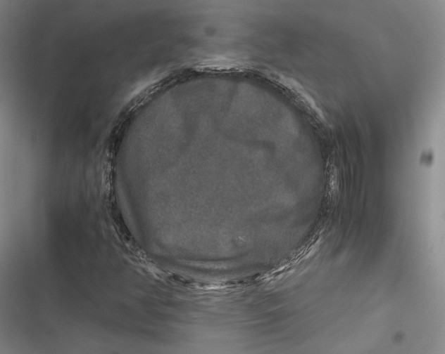 X0000116861350201001121232