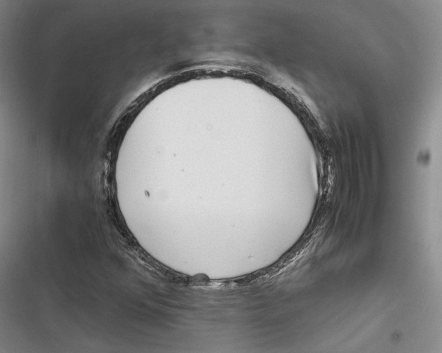 X0000116861352201001121232