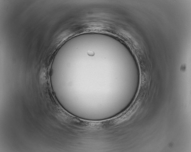 X0000116861353201001121232