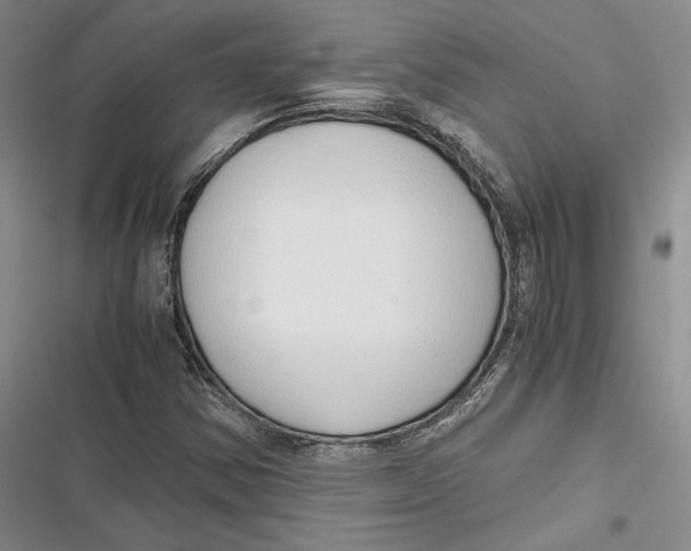 X0000116861354201001121232