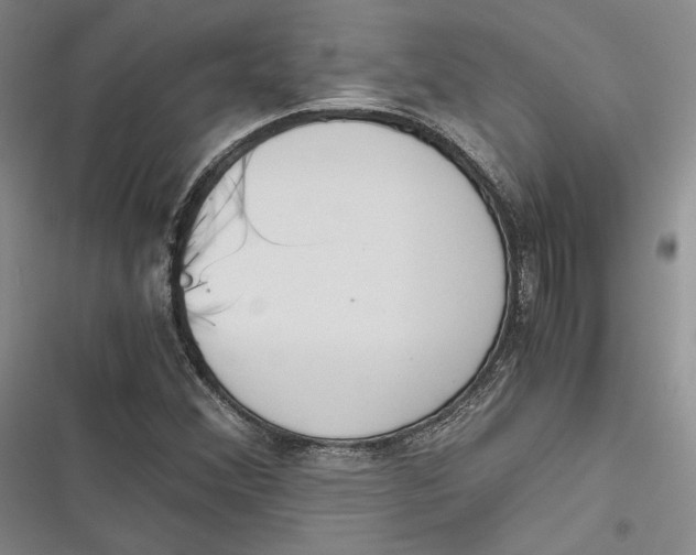 X0000116861356201001121232